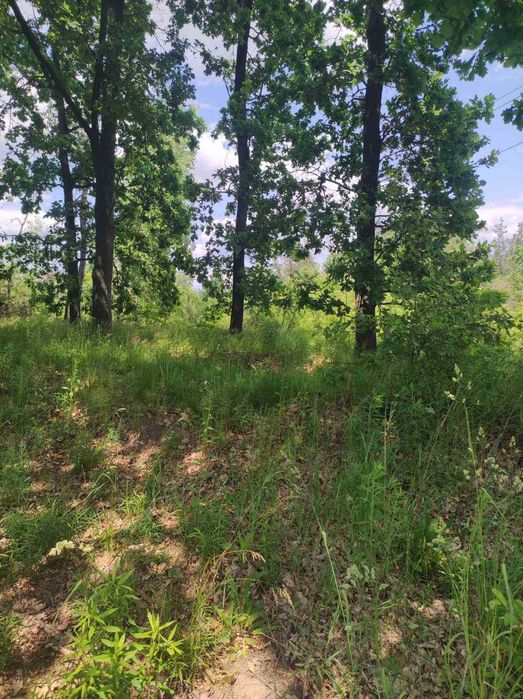 Продам участок в Юровке 30 сотки со старіим домомо двухсторонний