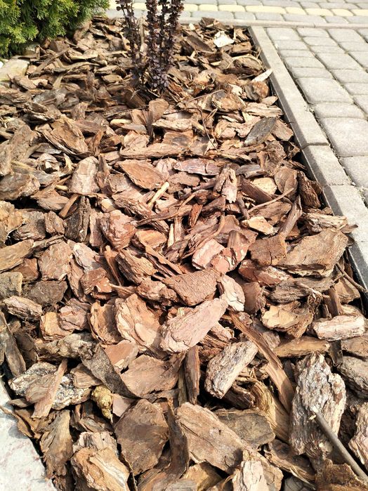 Kora sosnowa 80L GRUBA 6-12cm