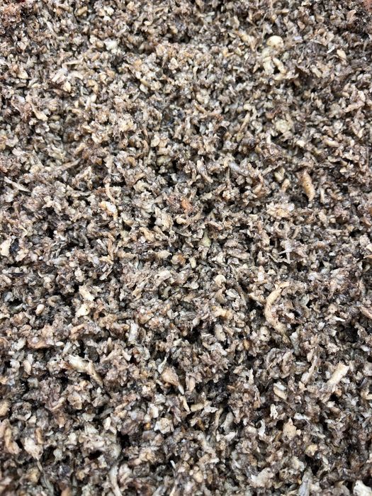 Nutrição Animal Superior - Polpa de Beterraba