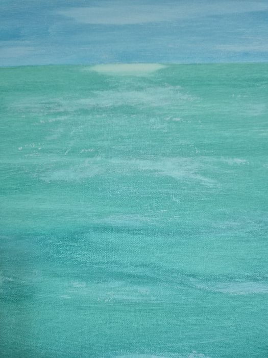 Pintura, Tela 50 x 70, Acrílico. Painting, Canvas 50 x 70, Acrylic.