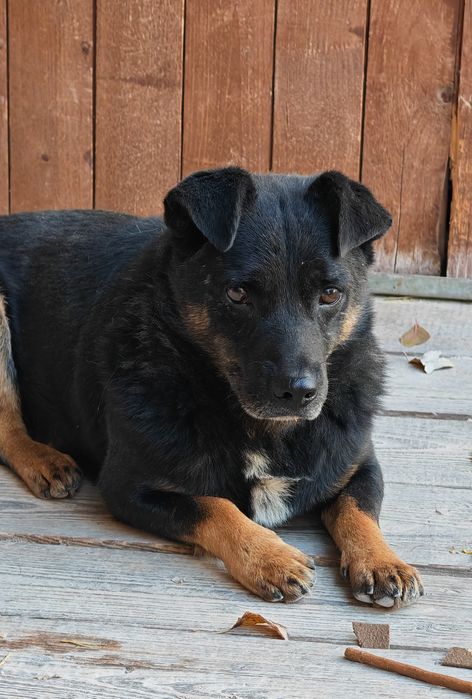 Czyja zguba? Sandomierz