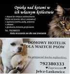 Hotelik domowy dla psów i kotów