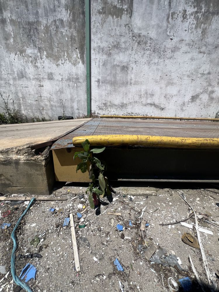 Báscula Balança 60 Toneladas