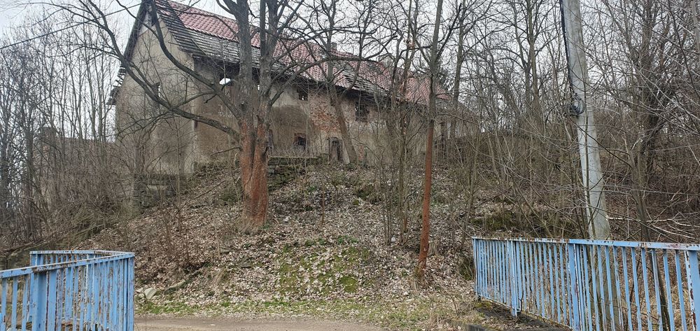 Zlecę wycinkę drzew, uporządkowanie terenu i rozbiórkę