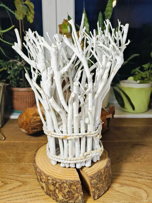 Kwietnik rekodzieło biały ⁶⁷