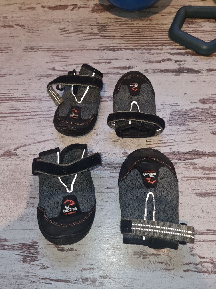 Buty dla psa mało używane z MaxiZoo