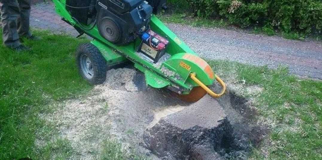 Wynajem, usługa minikoparką,