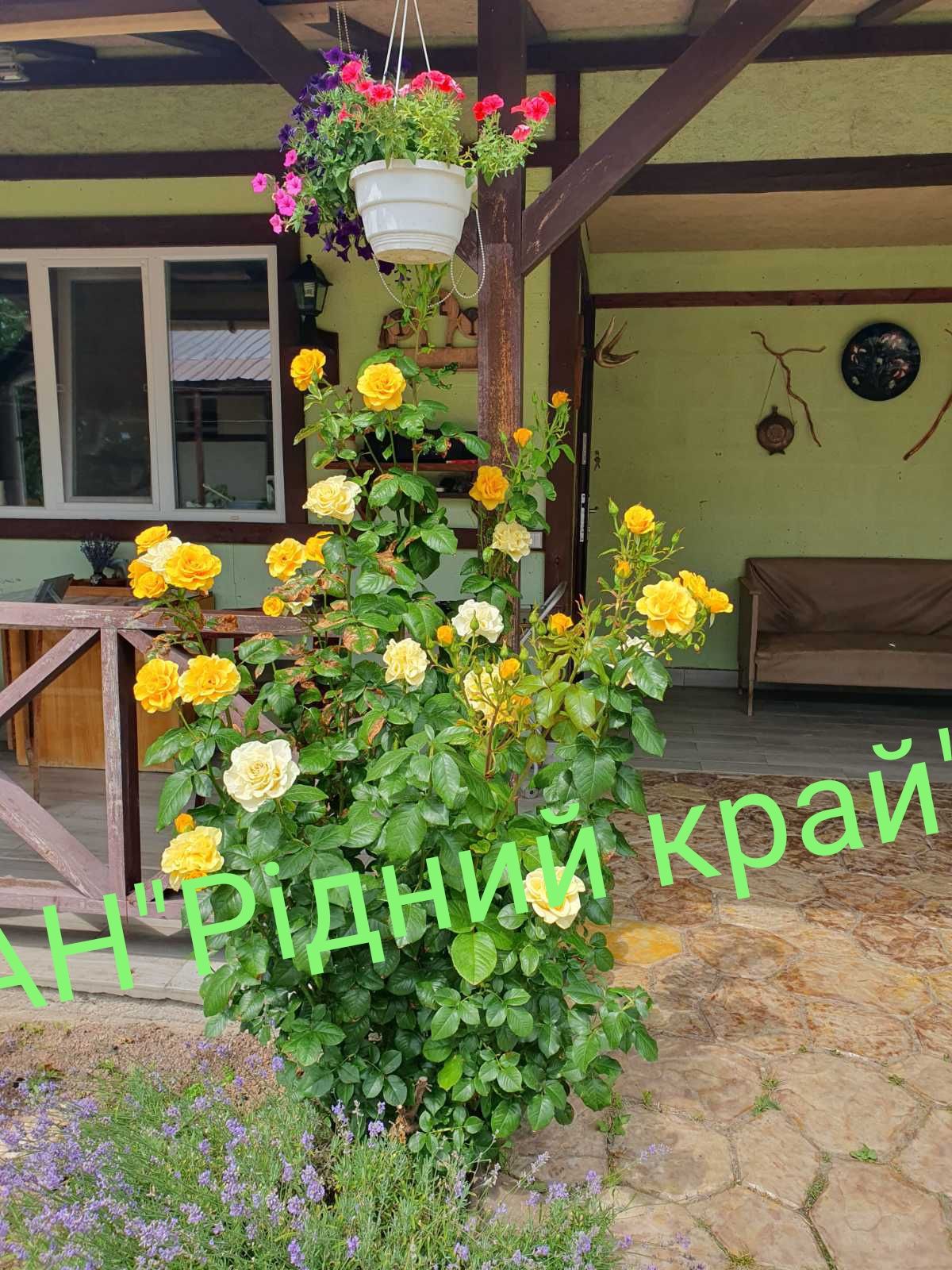 На околиці міста продамо затишний будинок 98м.кв.