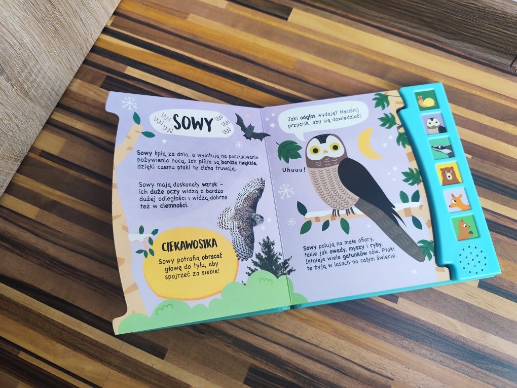 Świat wokół nas. W lesie książeczka dźwiękowa grająca interaktywna
