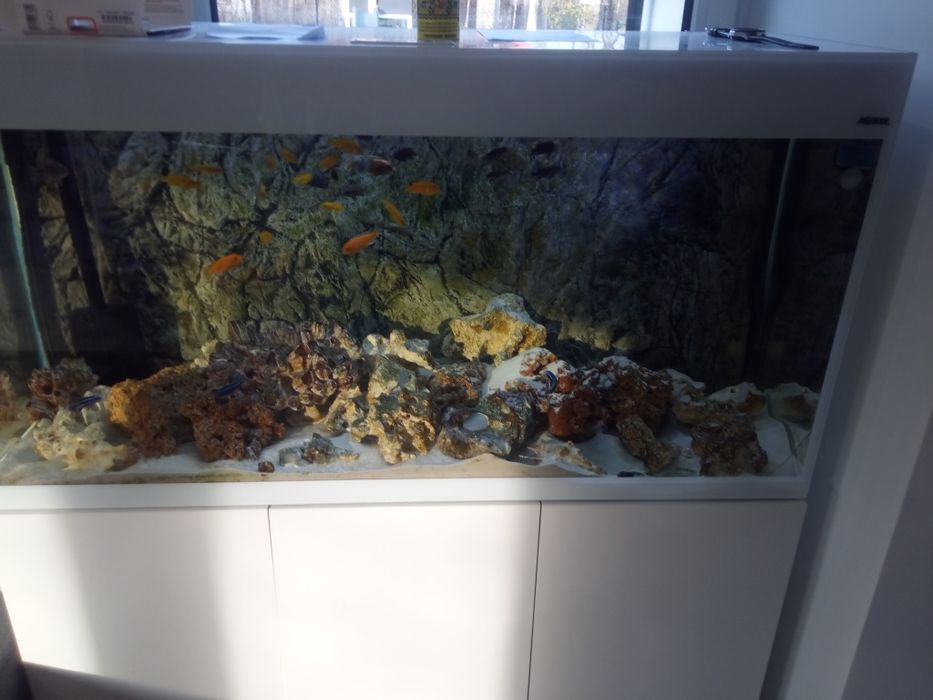 Akwarium Aquael Glossy 260l.