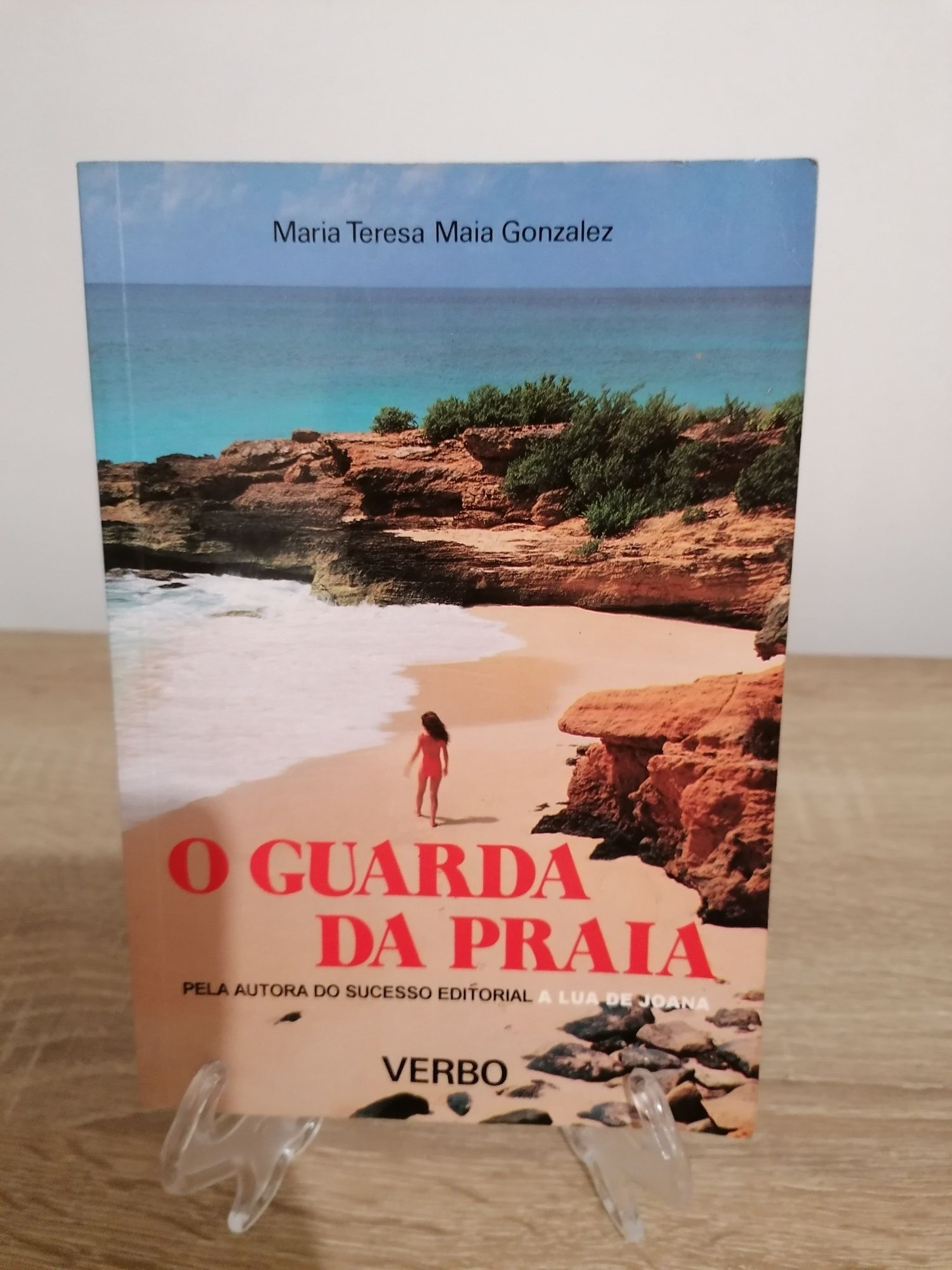 O guarda da praia