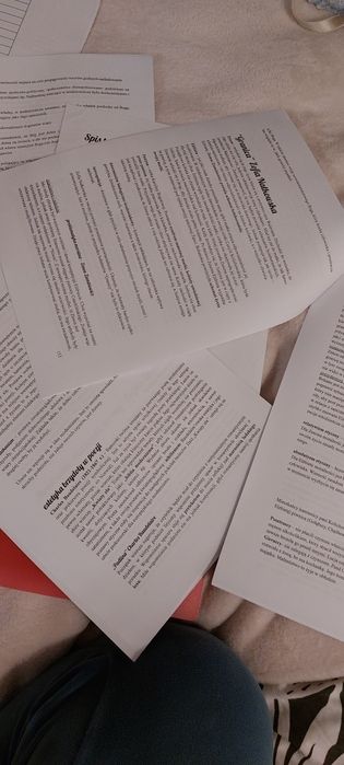 Sprzedam komplet notatek do matury z języka polskiego – PDF