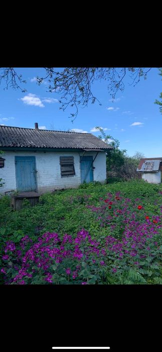 Продаєця будинок село Шолойкі