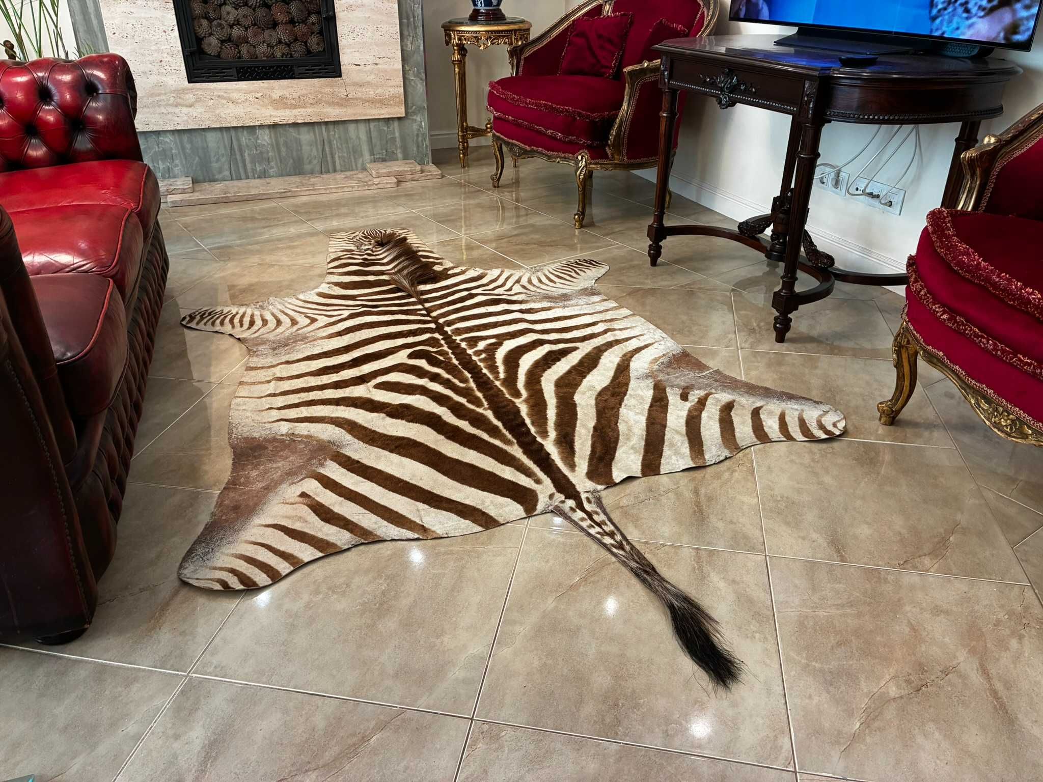 PELE DE ZEBRA - Corpo Inteiro - Equus quagga - 290 cm - 170 cm - 1 cm