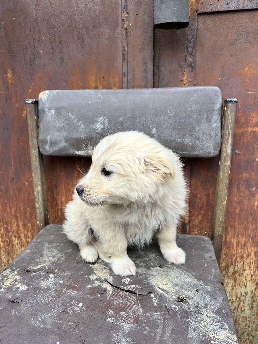 Хлопчик 2 місці шукає родину
