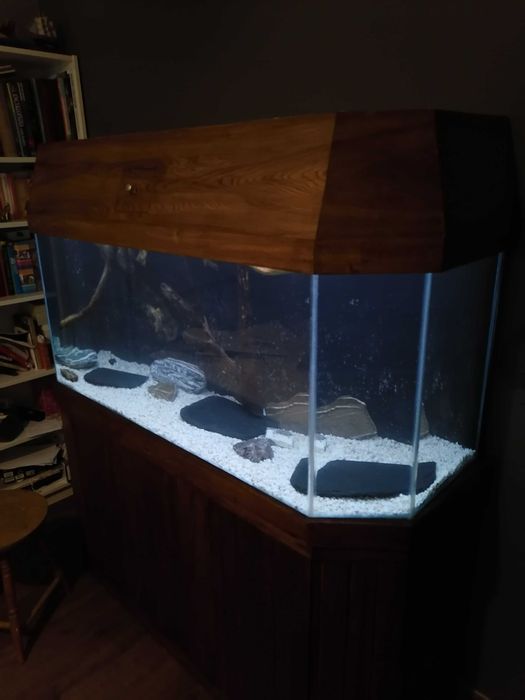 Akwarium 450l sump