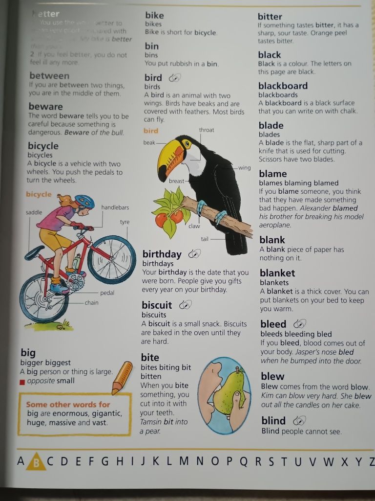 USBORNE First English Dictionary Słownik