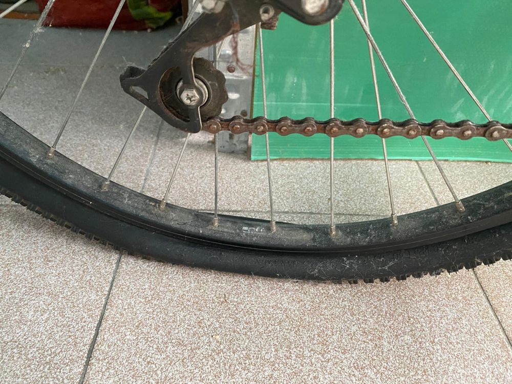 Bicicleta adulto