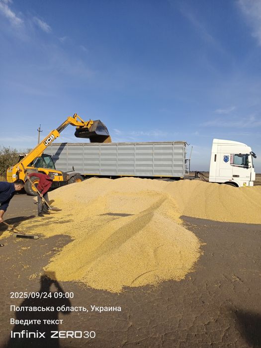 Перевозка грузов зерна пшеницы ячменя