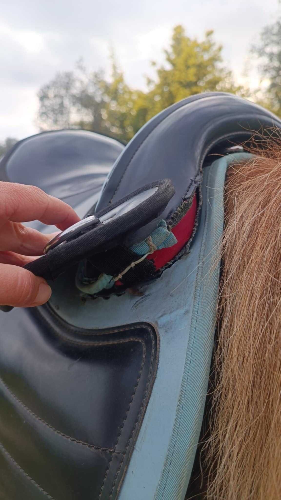 Sela de cavalo para crianças
