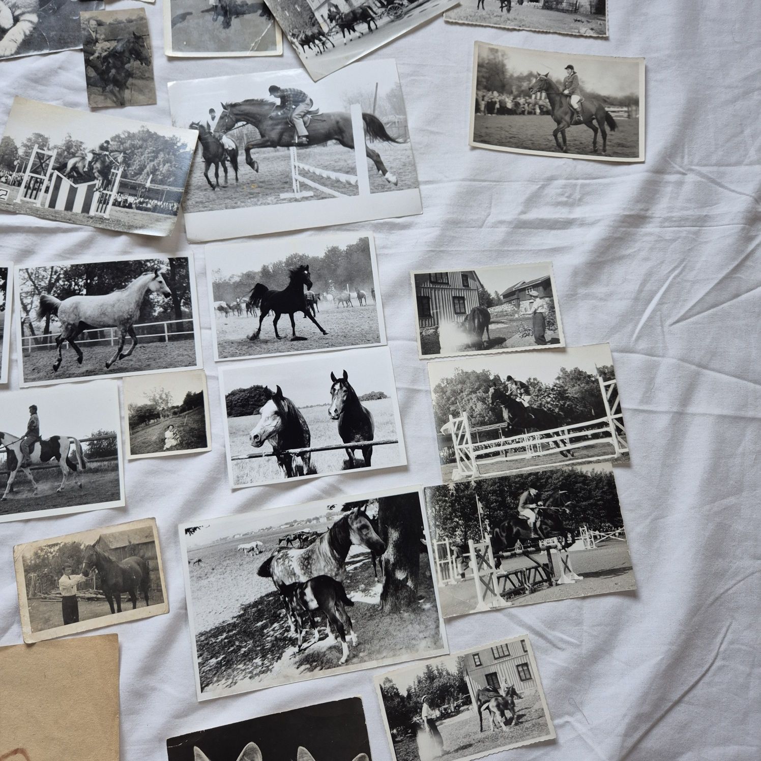 Stare zdjęcia Konie Janów Podlaski araby wyścigi Służewiec konie arabs