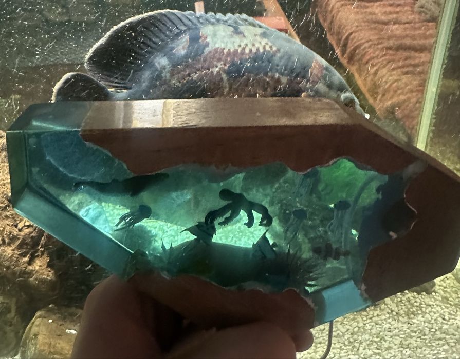 Декоративний світильник-діорама з епоксидної смоли та дерева.