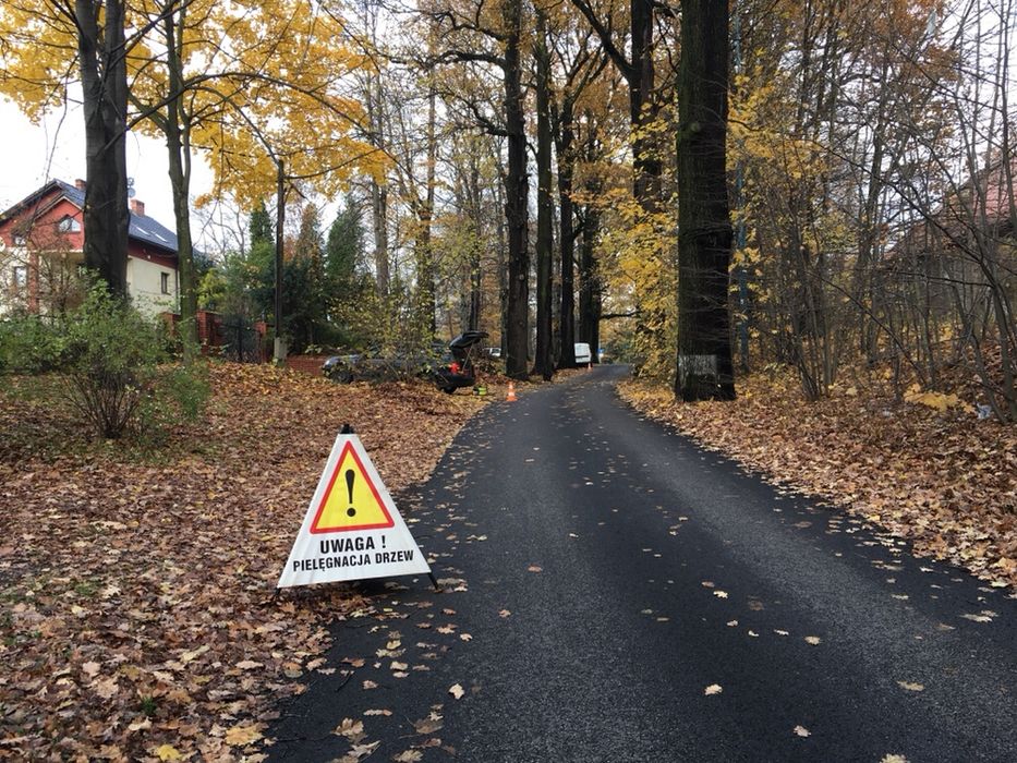 MaTree pielęgnacja i wycinka drzew, usługi koparką,mulczer leśny
