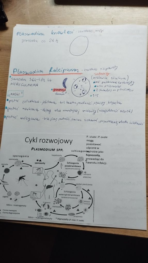 Notatki z parazytologii