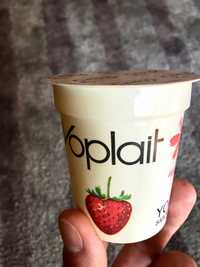 embalagem antiga iogurte Yoplait