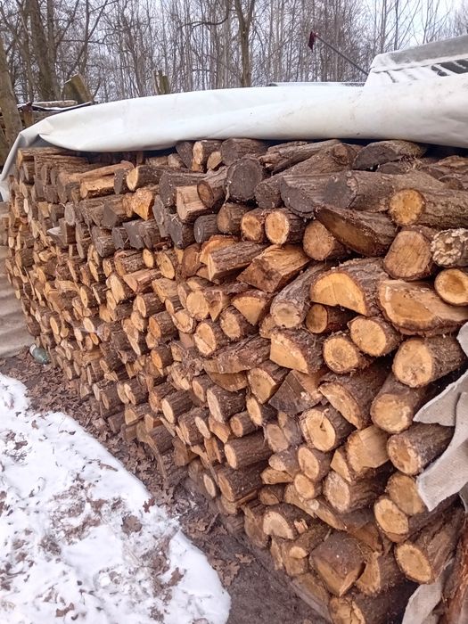 Drewno opałowe sosna i dąb