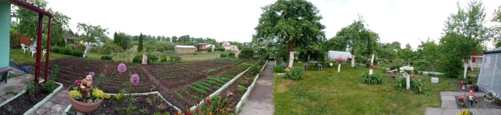 Działka ROD ,,Niezapominajka"