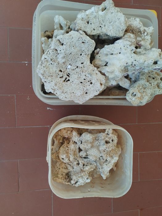 Material diverso aquário reff água salgada