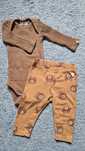 Komplet body prazkowane legginsy misie lindex  62