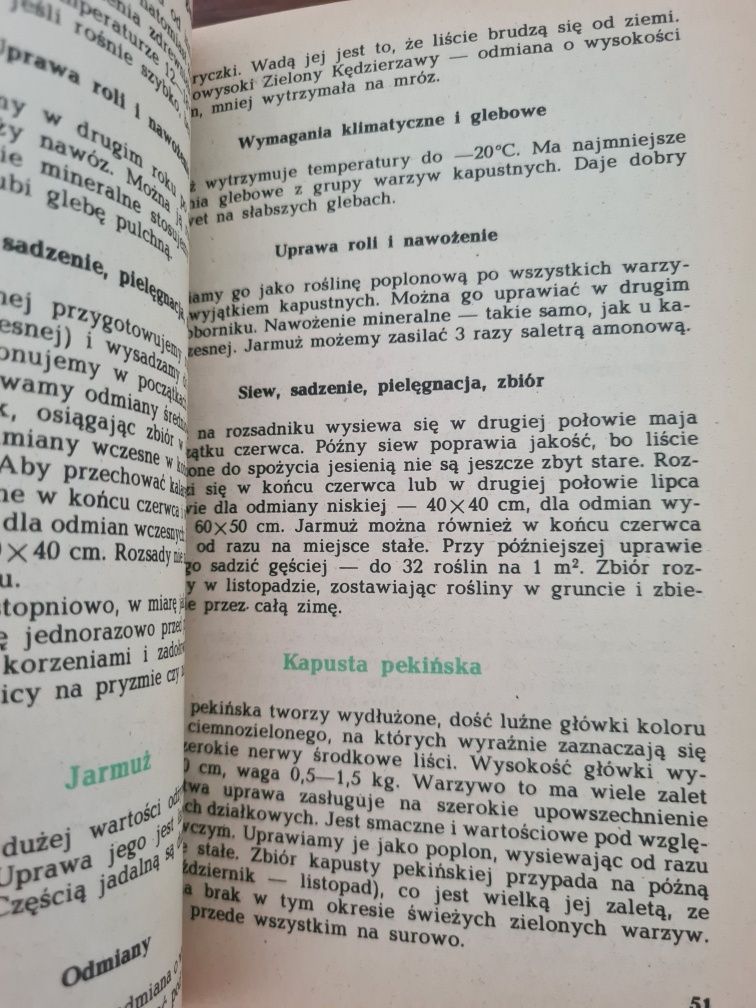 Warzywa na działce i w kuchni - Książka