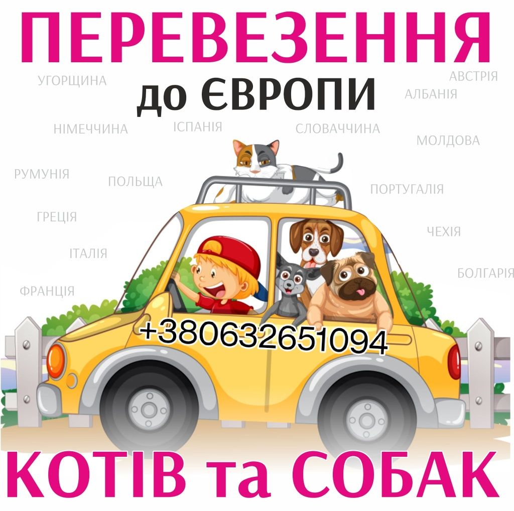 Перевозка кошек и собак через границу и по территории Украины