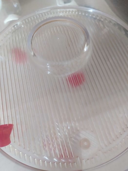 Kiełkownica średnica 20 cm