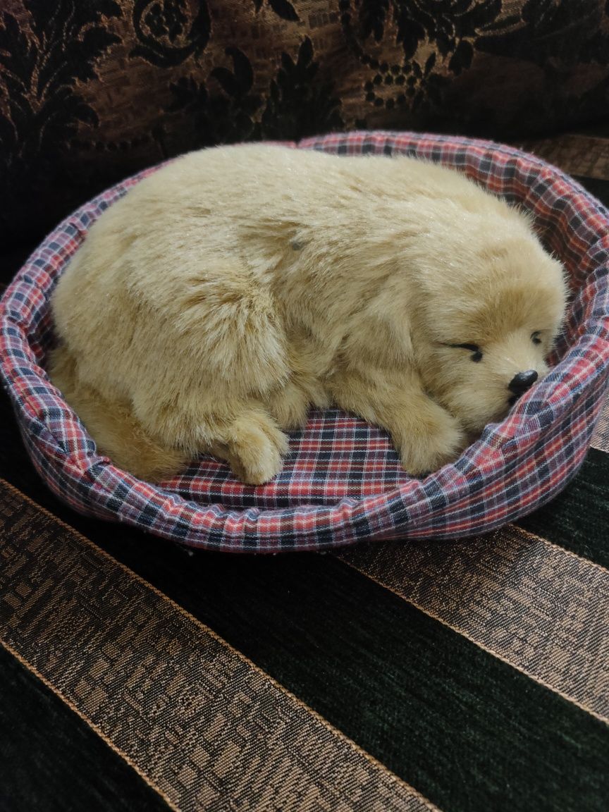 Собачка в корзинке Спящий щенок