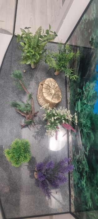 Akwarium 120L z szafką i ozdobami