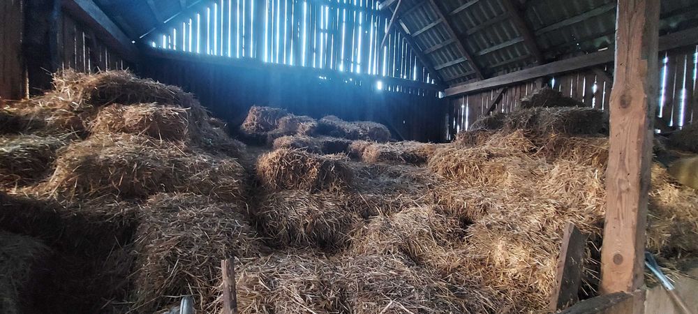 Słoma sucha małe kostki