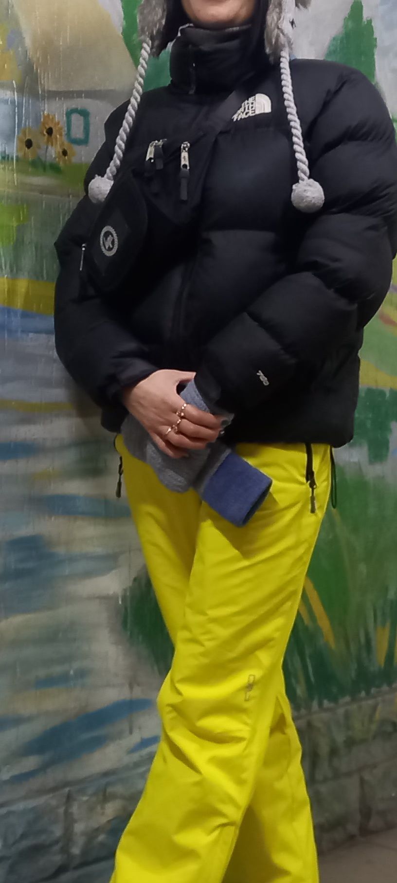 Пуховик зимняя куртка  The NORTH Face
