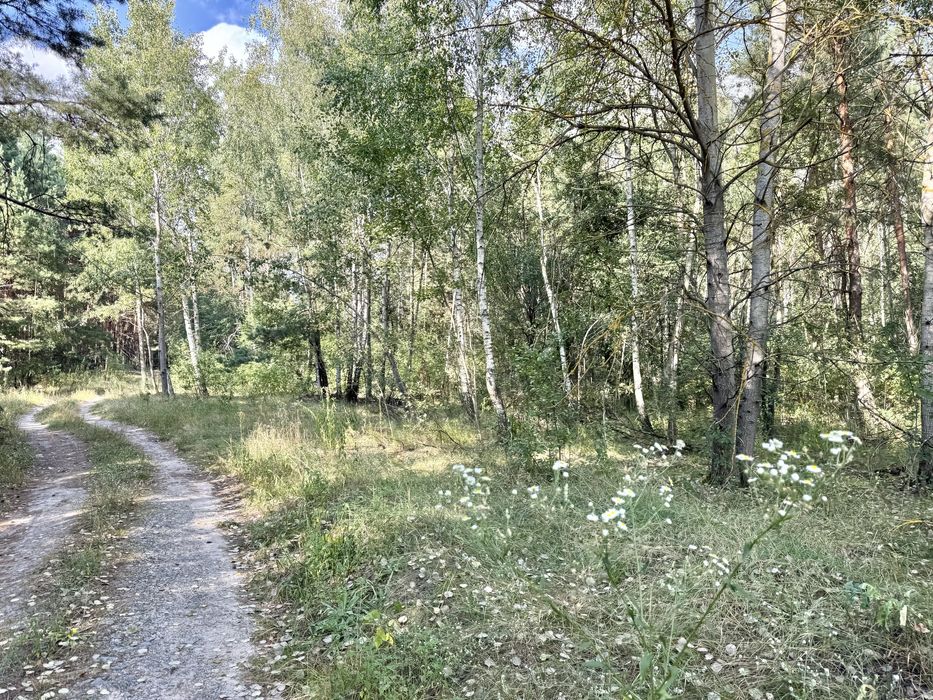 Земельна ділянка 1 га поруч з великим лісом!!!с.Здвижівка.