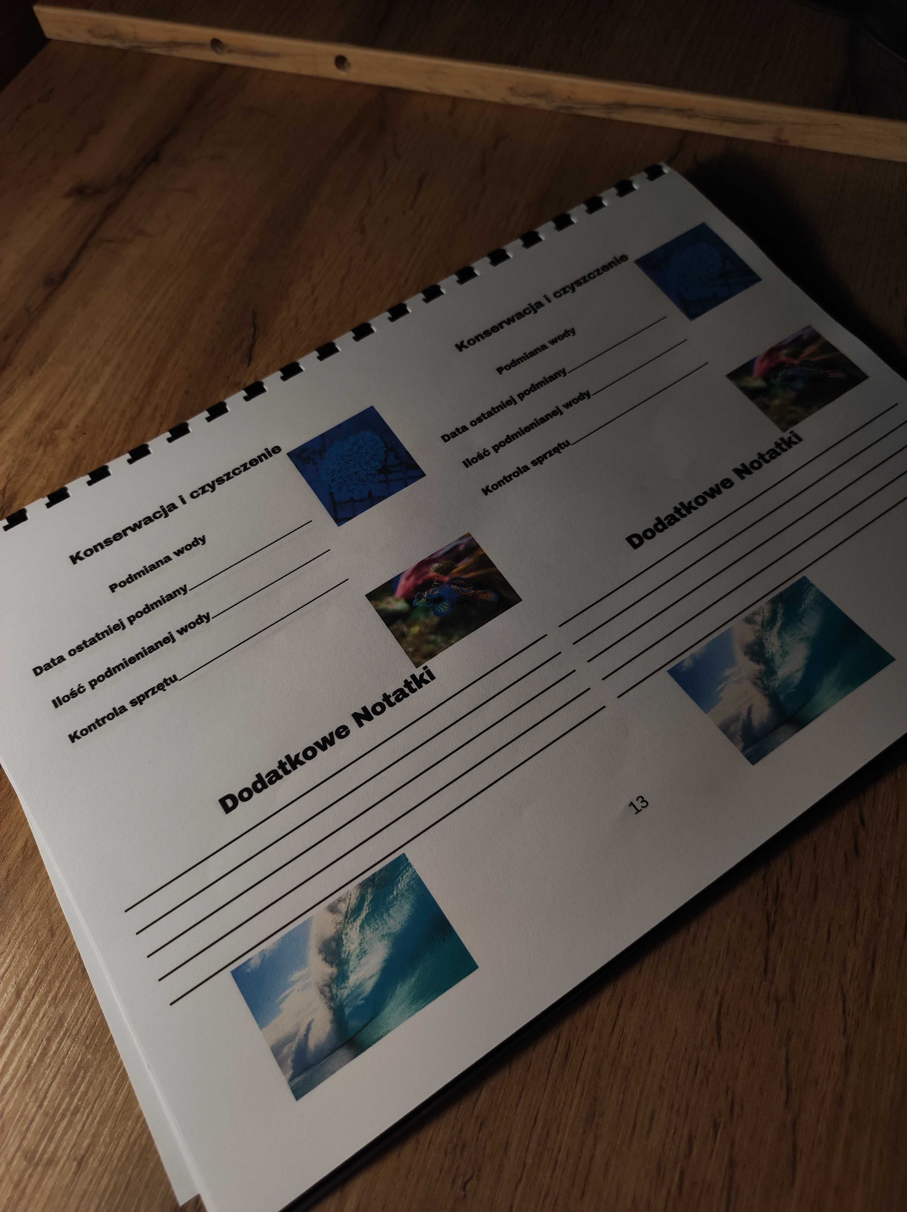 Planner akwarystyczny - akwarium morskie dla początkujących