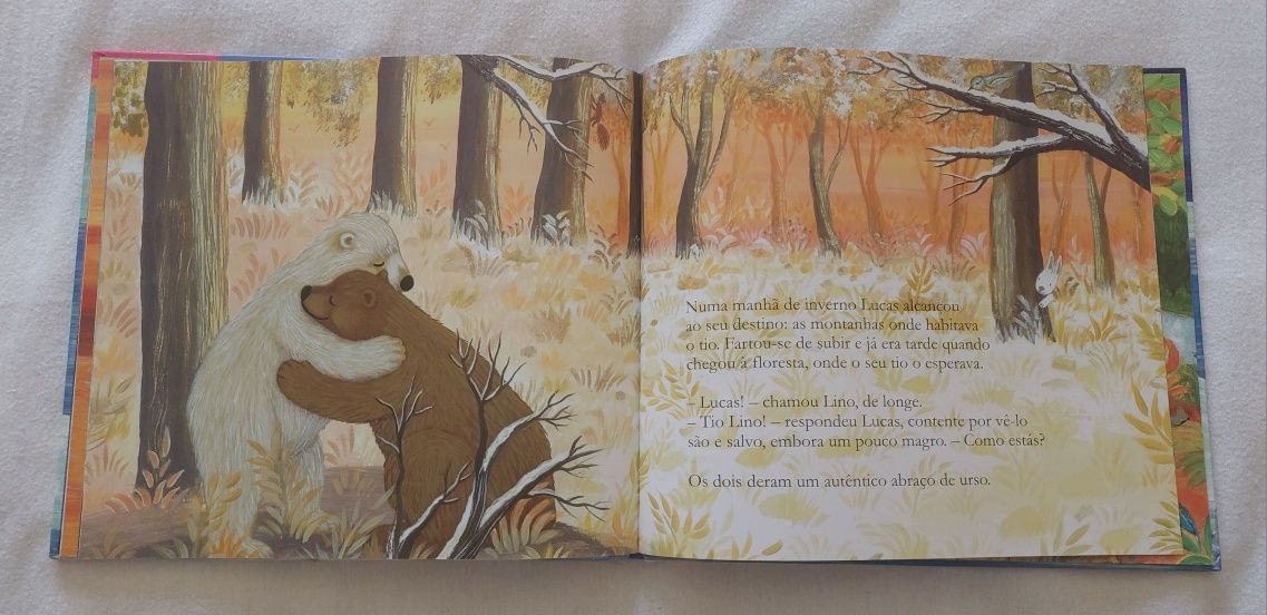 Livro "Urso e a Solidariedade" Infanto/Juvenil