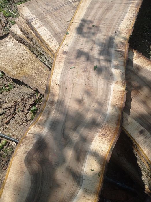 Дошка горіха грецького