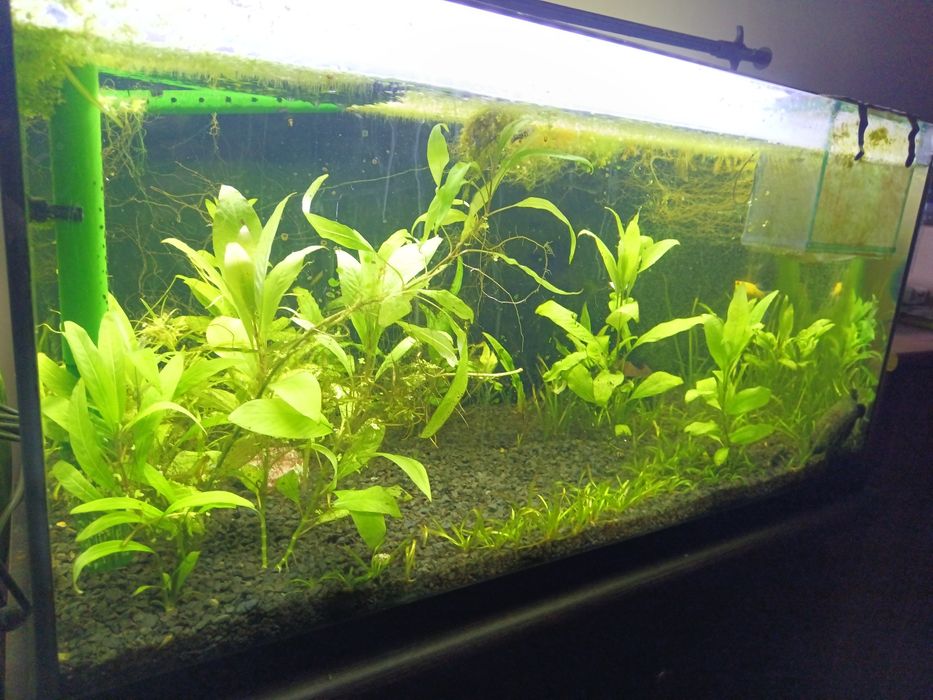 Akwarium 112l zestaw + akcesoria