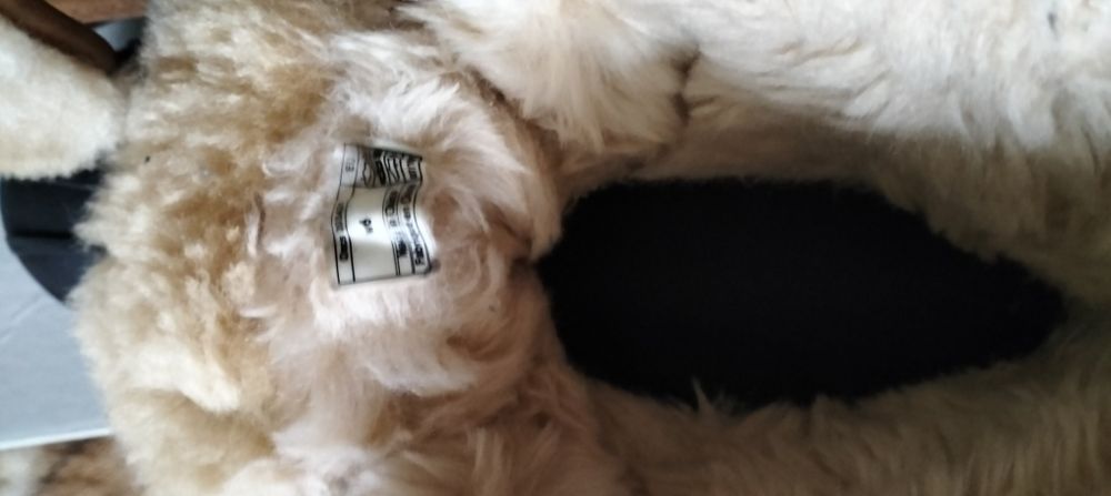 Чоботи сапожки зимові Crocs,  waterproof