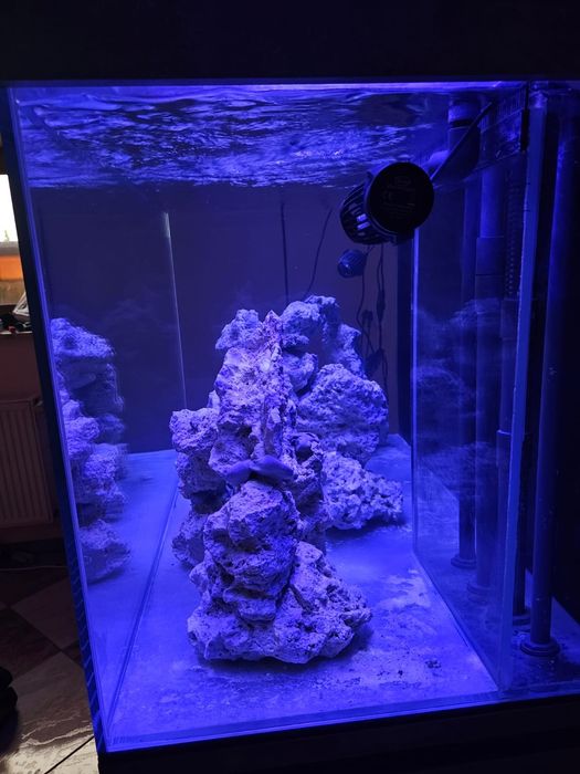 Kompletne Akwarium OPTI  plus sump Cena do konca wrzesnia
