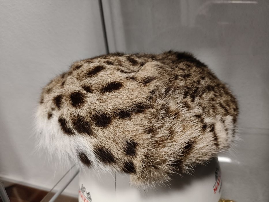 Desapego vários artigos