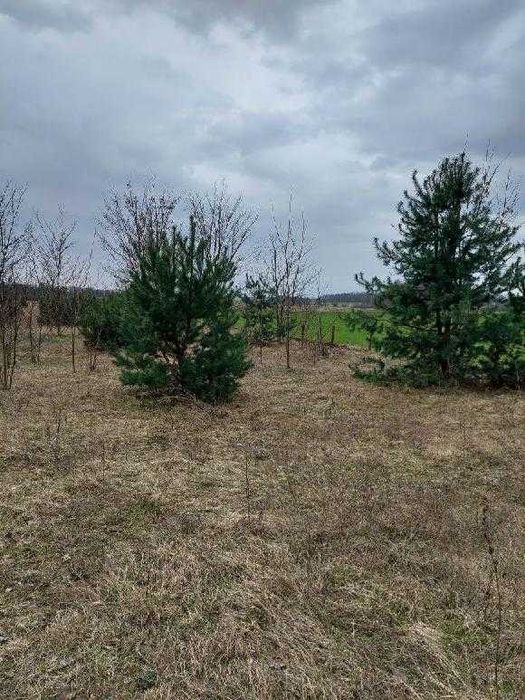 Sprzedam działkę budowlano-inwestycyjna w Brzykowie niedakeko Widawy
