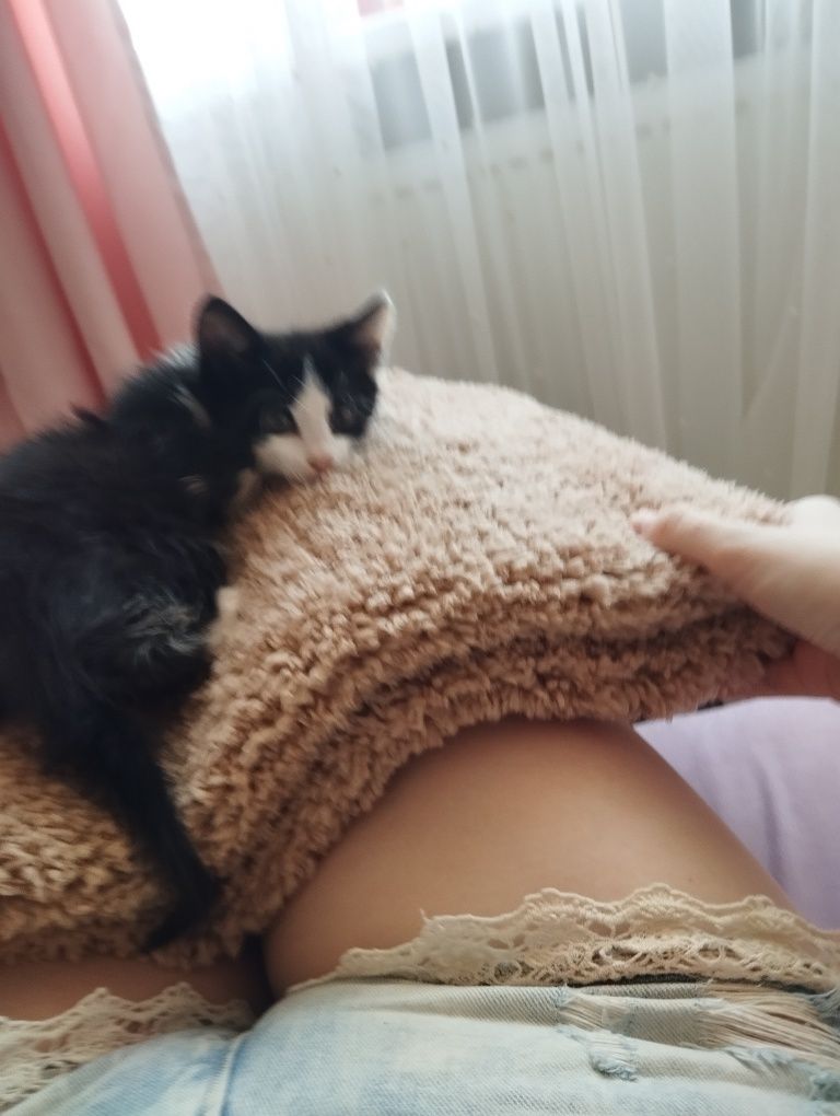 Хлопчики безкоштовно